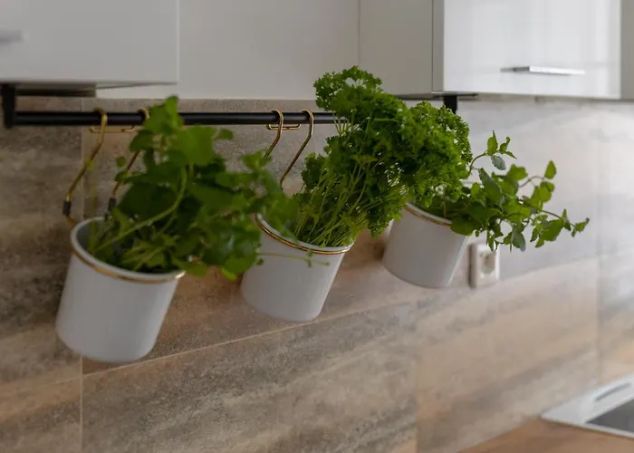 Apartment With Balcony Near Bulwary Wislane Wwa67 *